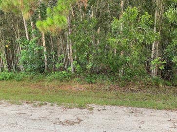 Homes with One Acre Plus In Palm Beach County 38 82nd St N Palm Beach FL 33412