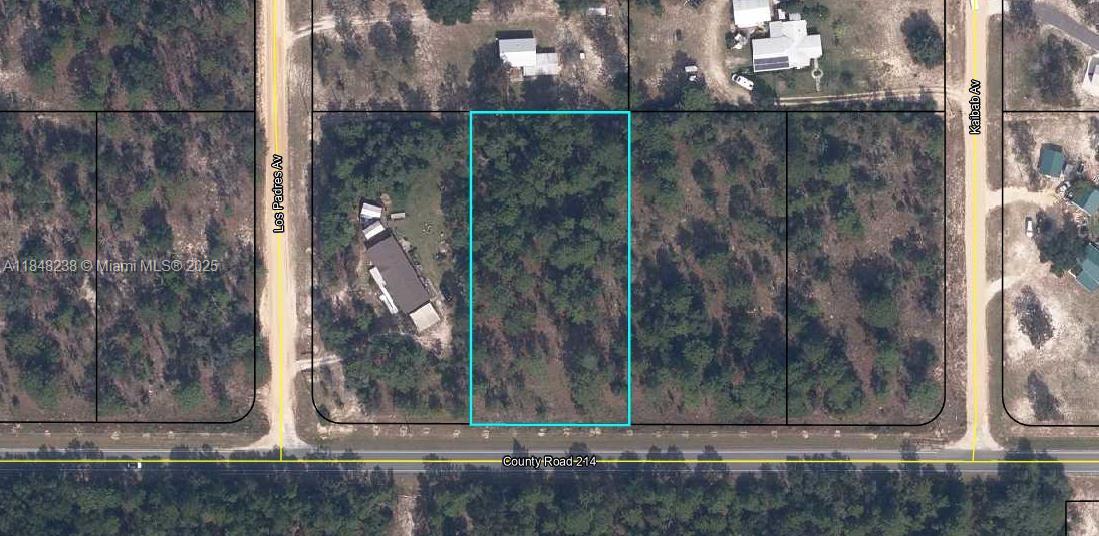 Build your forever home in Indian Lake Estates. A large, planned rural residential and commercial gated community with more than 7500 acres and 700 residences. The community includes fishing, boating, golfing and country club activities along with postal, church, dining, pier, and lake front facilities.
An hour to Disney and the Beaches but away from the crowds!