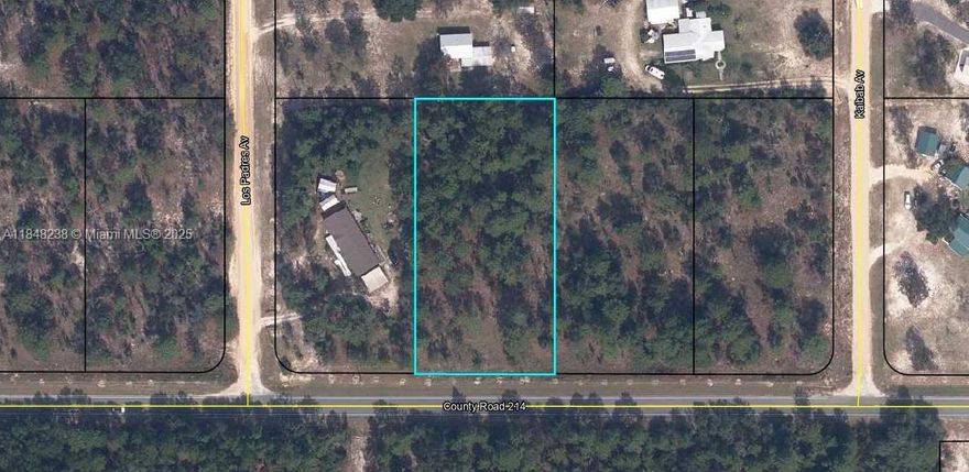 Build your forever home in Indian Lake Estates. A large, planned rural residential and commercial gated community with more than 7500 acres and 700 residences. The community includes fishing, boating, golfing and country club activities along with postal, church, dining, pier, and lake front facilities.
An hour to Disney and the Beaches but away from the crowds!