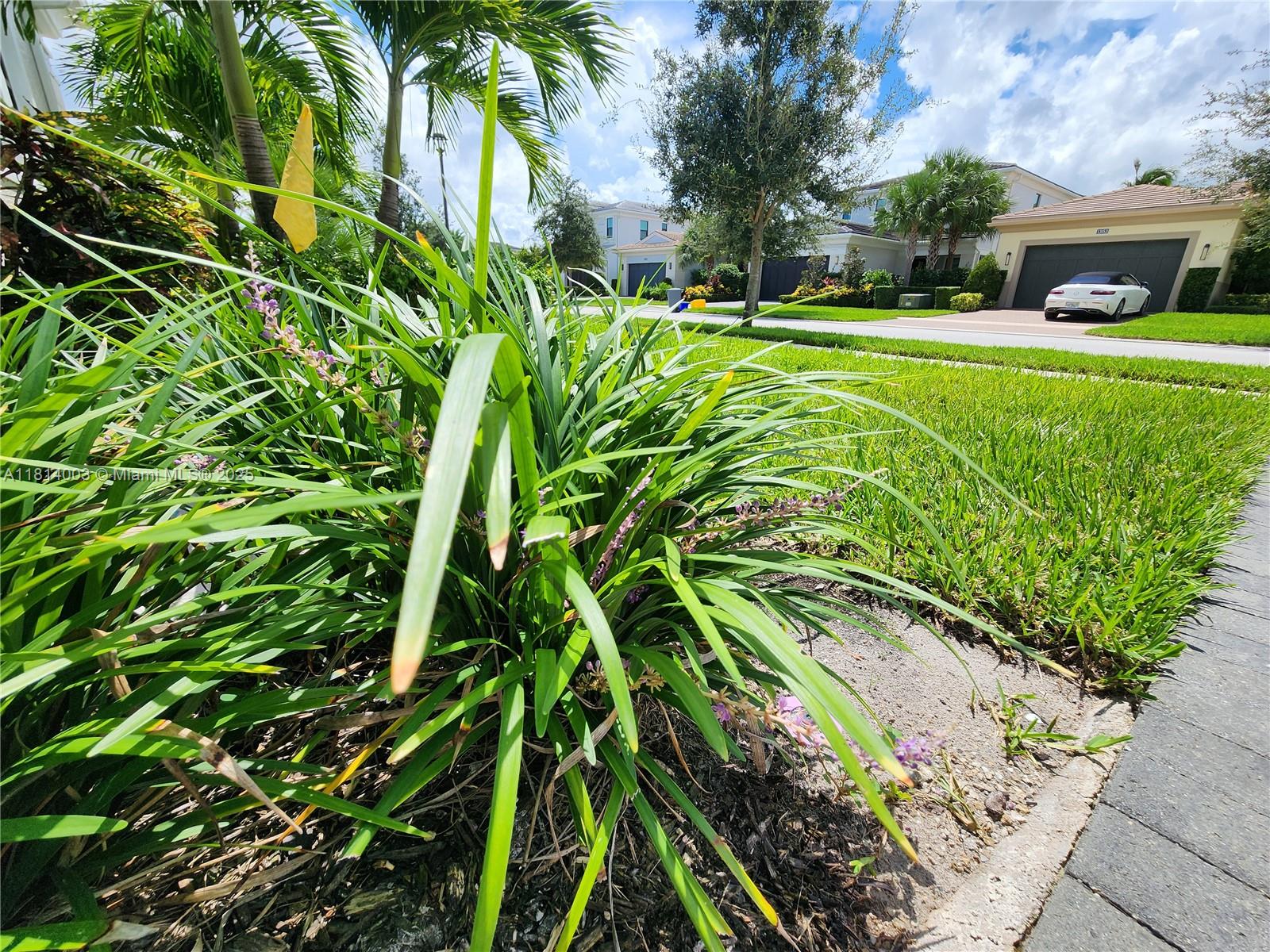 ARTISTRY - Residential Lease