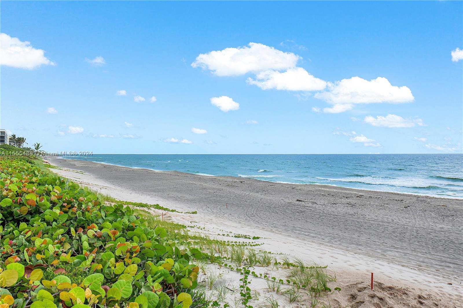 SeaWatch - Residential