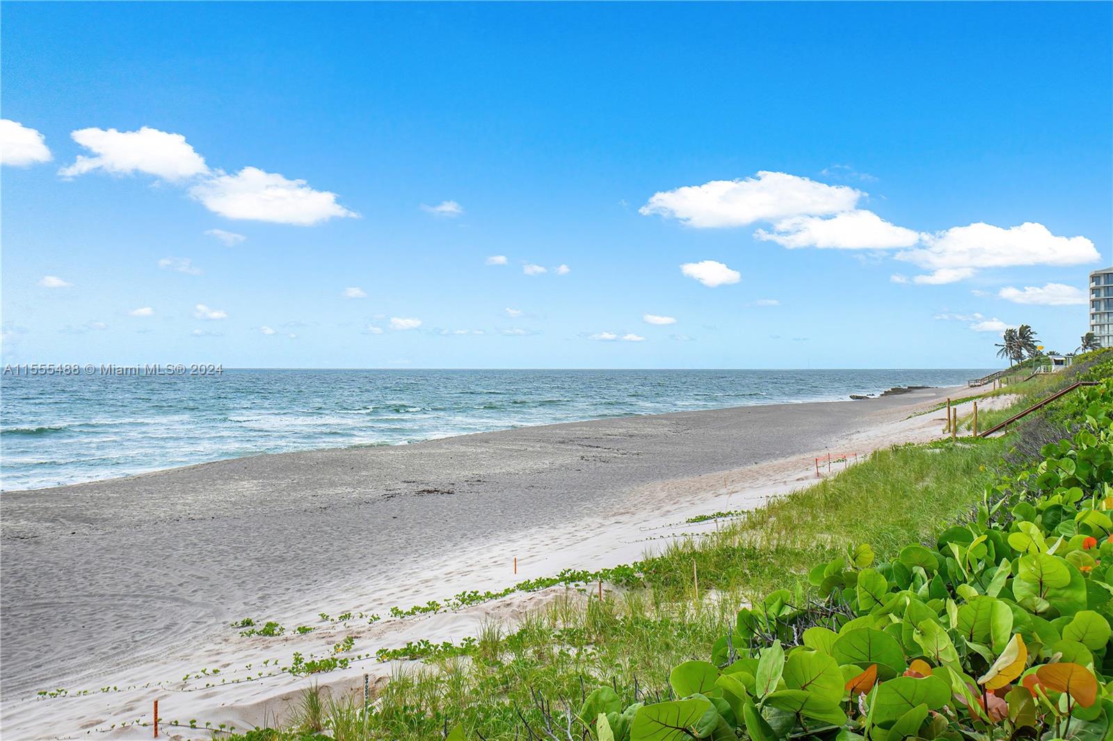 SeaWatch - Residential