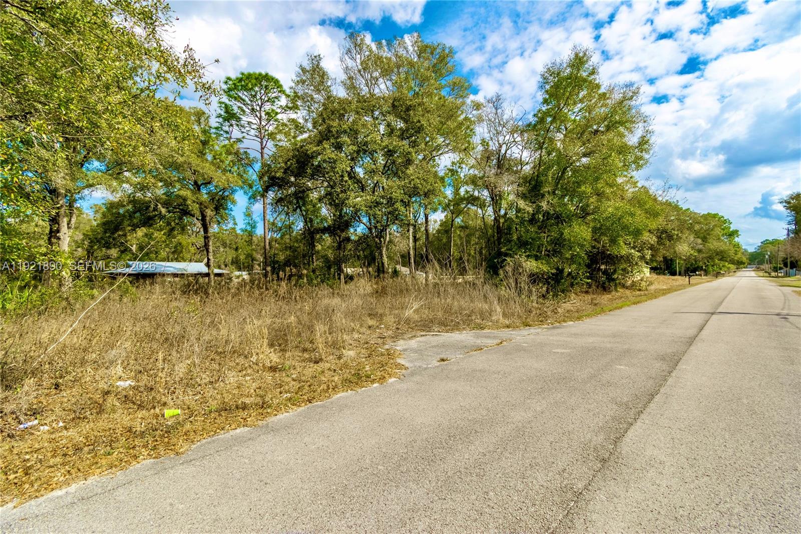 Ocala Estates - Land