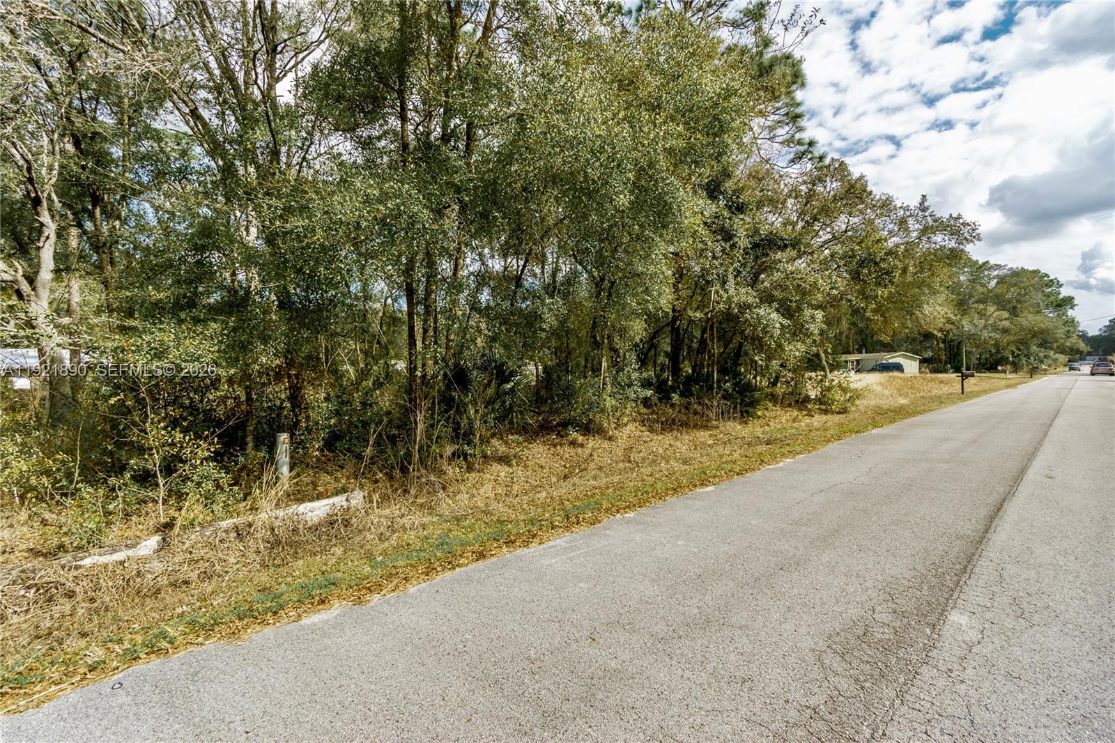 Ocala Estates - Land