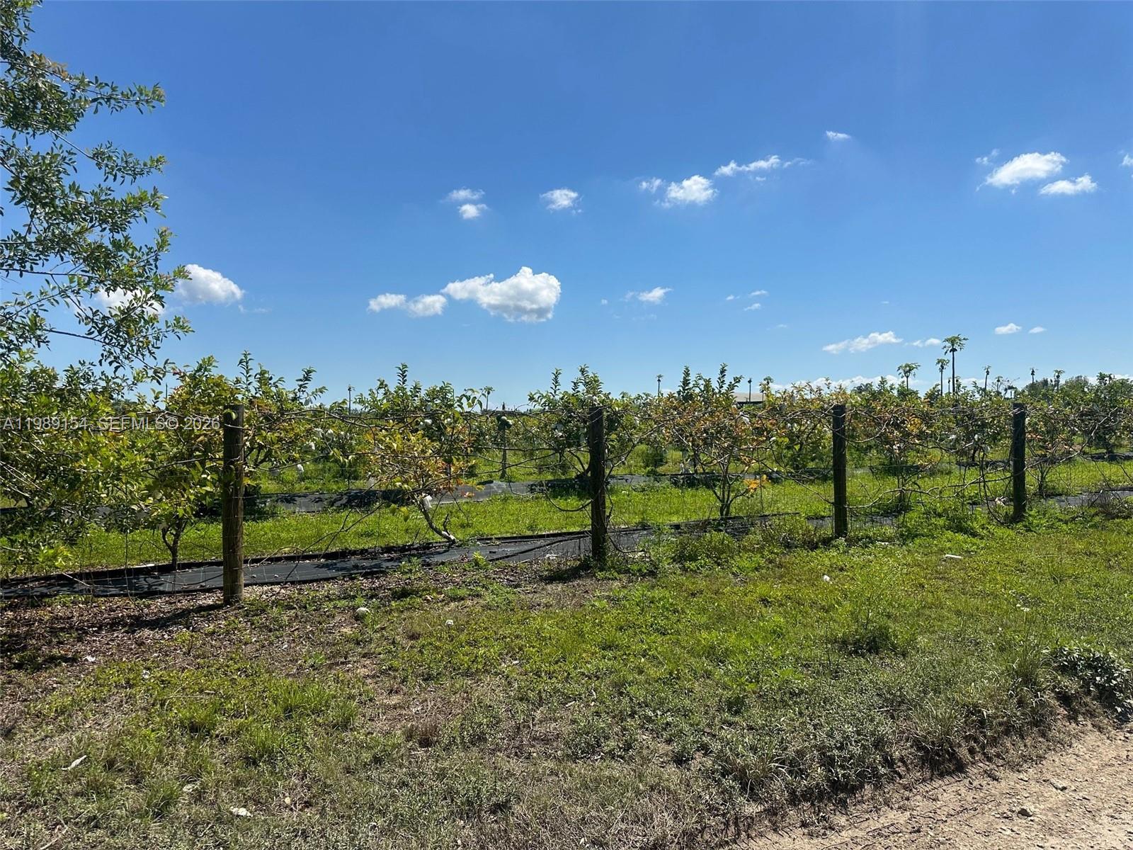 LEE H LAHMAN SUB - Land