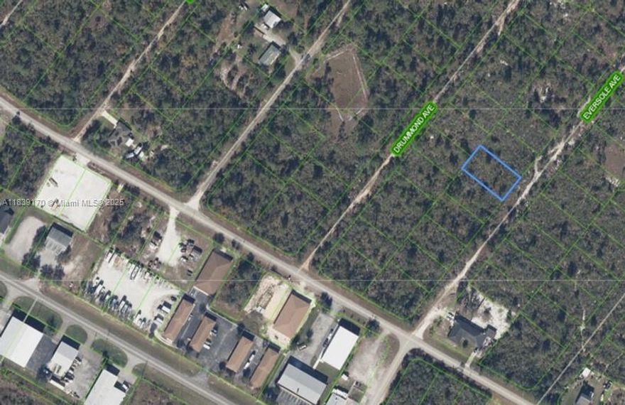 0.23 ACRES VACANT RESIDENTIAL LAND IN LAKE PLACID, FL 33862. ALL INFORMATION FROM THE SELLER AND MUST BE VERIFIED BY THE BUYER!