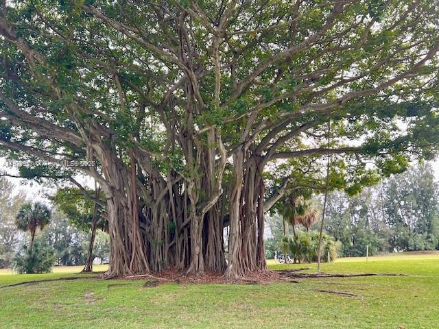 NO 17 PALM-AIRE COUNTRY C - Residential