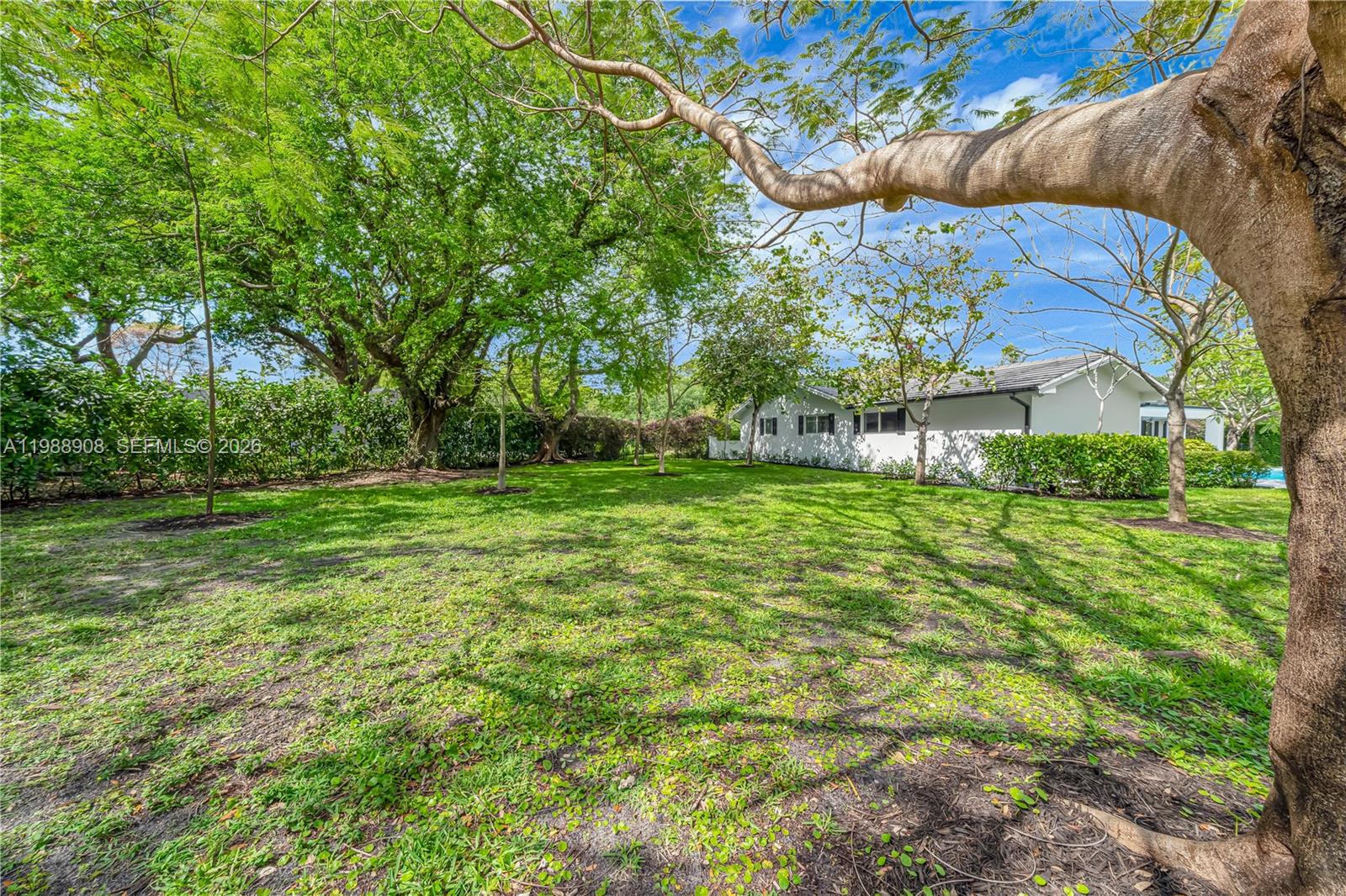 THOUSAND PINES - Residential