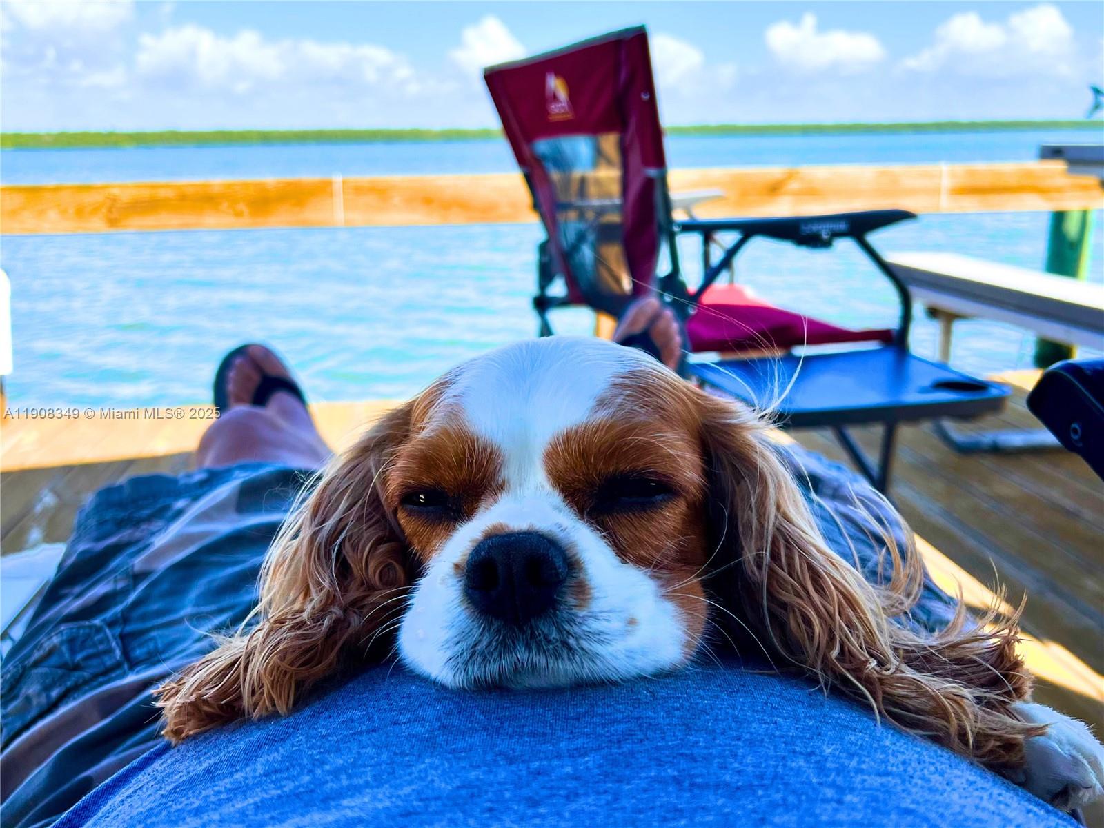 Outdoor Resorts Chokoloske - Land