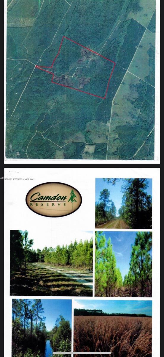 CAMDEN RESERVE - Land