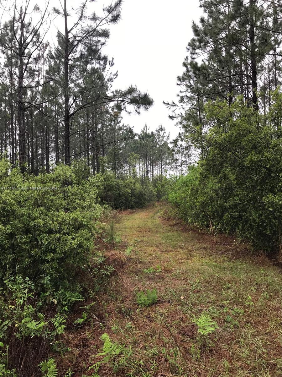 CAMDEN RESERVE - Land