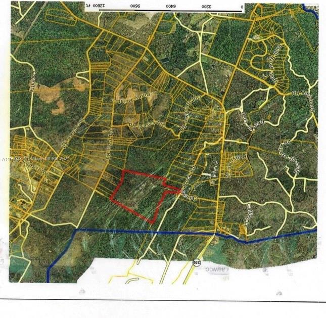 BUILD YOUR MAGIC COUNTRY CASTLE ON THIS 358.22 AC WONDER LAND*ENYOY YOUR HORSE RIDES ON THIS WHILED WOODS ADVENTURES. NESTLED IN THE PICTURESQUE LANDSCAPES OF SOUTH GA. THIS IMPRESSIVE PROPERTY OFFERING AN UNPARALLELED BLEND OFR NATURAL BEAUTY AND POTENTIAL. IDEAL FOR THOSE SEEKING A SERENE RETREAT OR LUCRATIVE INVESTMENT, THIS TRUCK OF LAND FEATURES A LUSH FORESTS, PROVIDING ENDLESS POSSIBILITIES FOR DEVELOPMENT OR RECREATIONAL ACTIVITIES. WHETHER YOUR ENVISION CREATING A PRIVATE SANCTUARY, DEVELOPING NEW COMMUNITY, THIS EXCEPTIONAL PIECE OF LAND IN SOUTH GEORGIA, USA OFFERS A RARE OPPORTUNITY TO REALIZE YOUR DREAMS., OFFERS BEAUTY AND PARADISE ON 358.22 AC IN CAMDEN RESERVE 3000 AC PRIVATE COMMUNITY*CONTACT US TODAY TO EXPLORE THE POSSIBILITIES OND MAKE THI EXTRAORDINARY PROPERTY YOURS