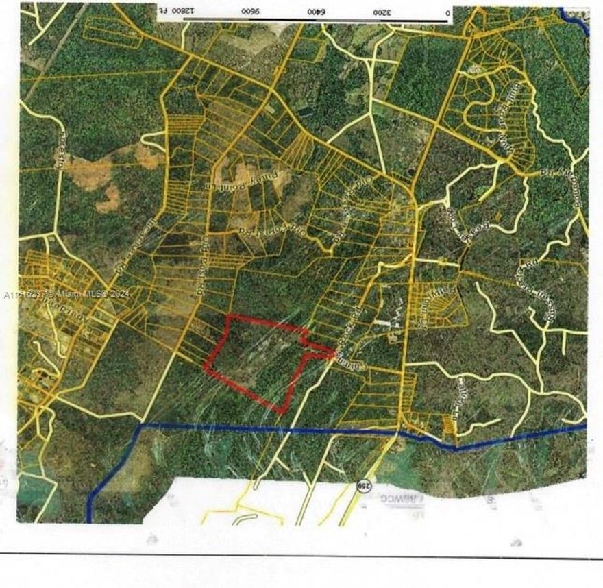 BUILD YOUR MAGIC COUNTRY CASTLE ON THIS 358.22 AC WONDER LAND*ENYOY YOUR HORSE RIDES ON THIS WHILED WOODS ADVENTURES. NESTLED IN THE PICTURESQUE LANDSCAPES OF SOUTH GA. THIS IMPRESSIVE PROPERTY OFFERING AN UNPARALLELED BLEND OFR NATURAL BEAUTY AND POTENTIAL. IDEAL FOR  THOSE SEEKING  A SERENE RETREAT OR LUCRATIVE INVESTMENT, THIS TRUCK OF LAND FEATURES A LUSH FORESTS, PROVIDING ENDLESS POSSIBILITIES FOR DEVELOPMENT OR RECREATIONAL ACTIVITIES. WHETHER YOUR ENVISION CREATING A PRIVATE SANCTUARY, DEVELOPING NEW COMMUNITY, THIS EXCEPTIONAL PIECE OF LAND IN SOUTH GEORGIA, USA OFFERS A RARE OPPORTUNITY TO REALIZE YOUR DREAMS., OFFERS BEAUTY AND PARADISE ON 358.22 AC IN CAMDEN RESERVE 3000 AC PRIVATE COMMUNITY*CONTACT US TODAY TO EXPLORE THE POSSIBILITIES OND MAKE THI EXTRAORDINARY PROPERTY YOURS