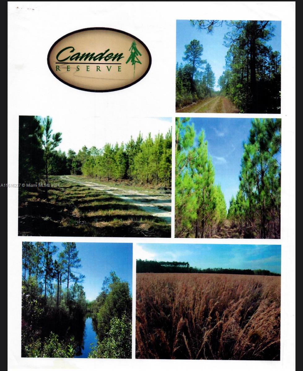 CAMDEN RESERVE - Land