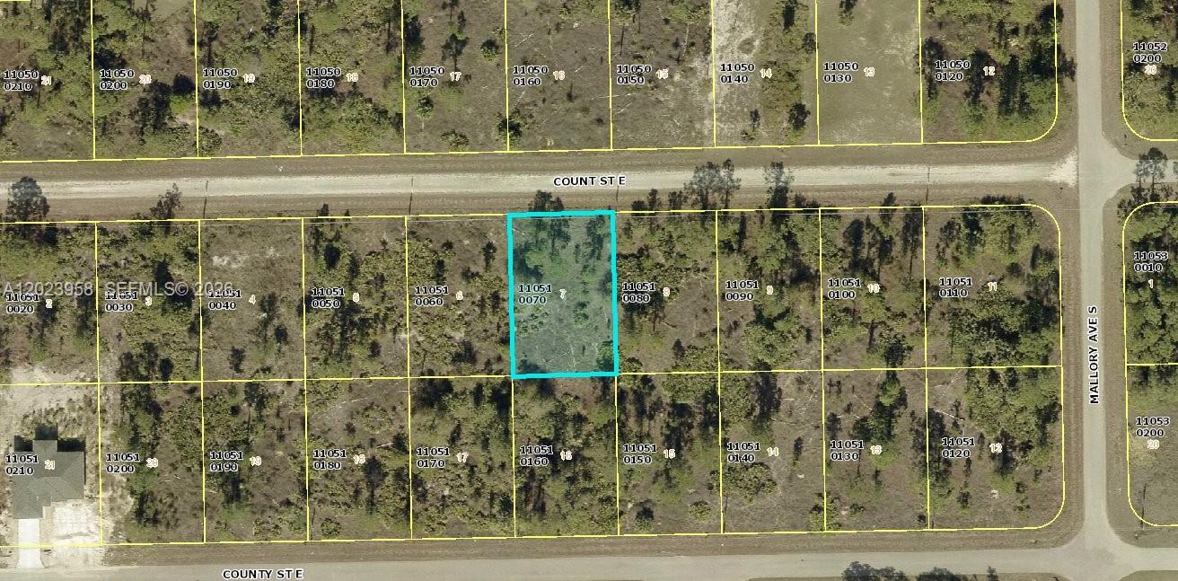 Lehigh Acres - Land