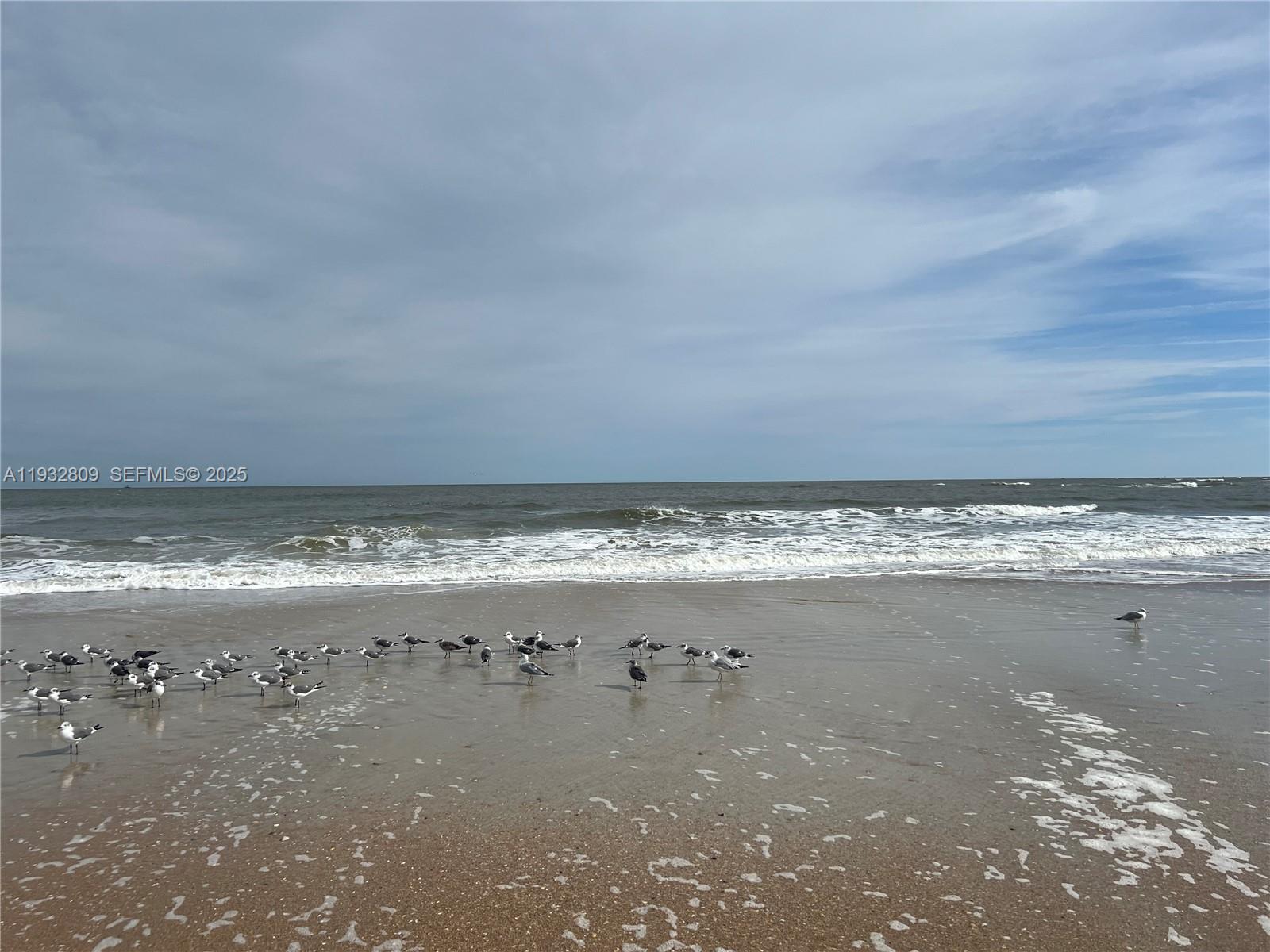 OCEAN HARBOR CONDO - Residential