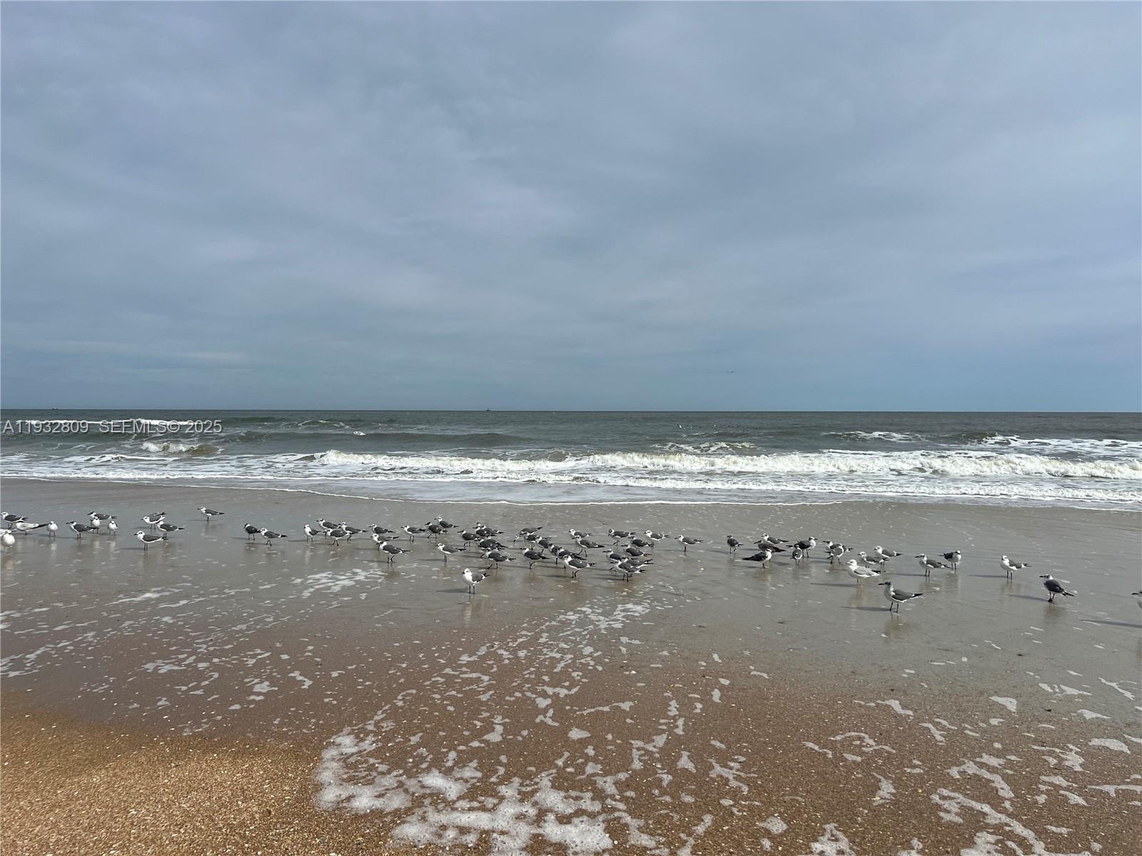 OCEAN HARBOR CONDO - Residential