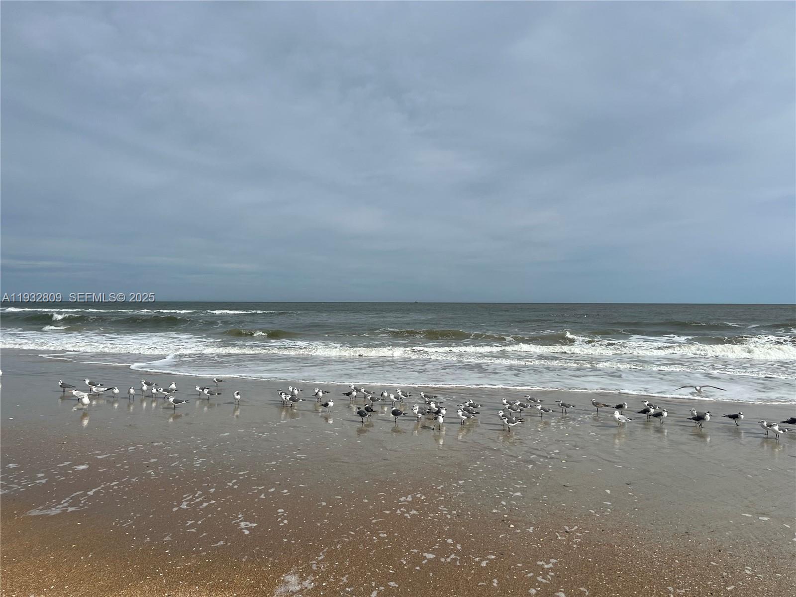 OCEAN HARBOR CONDO - Residential