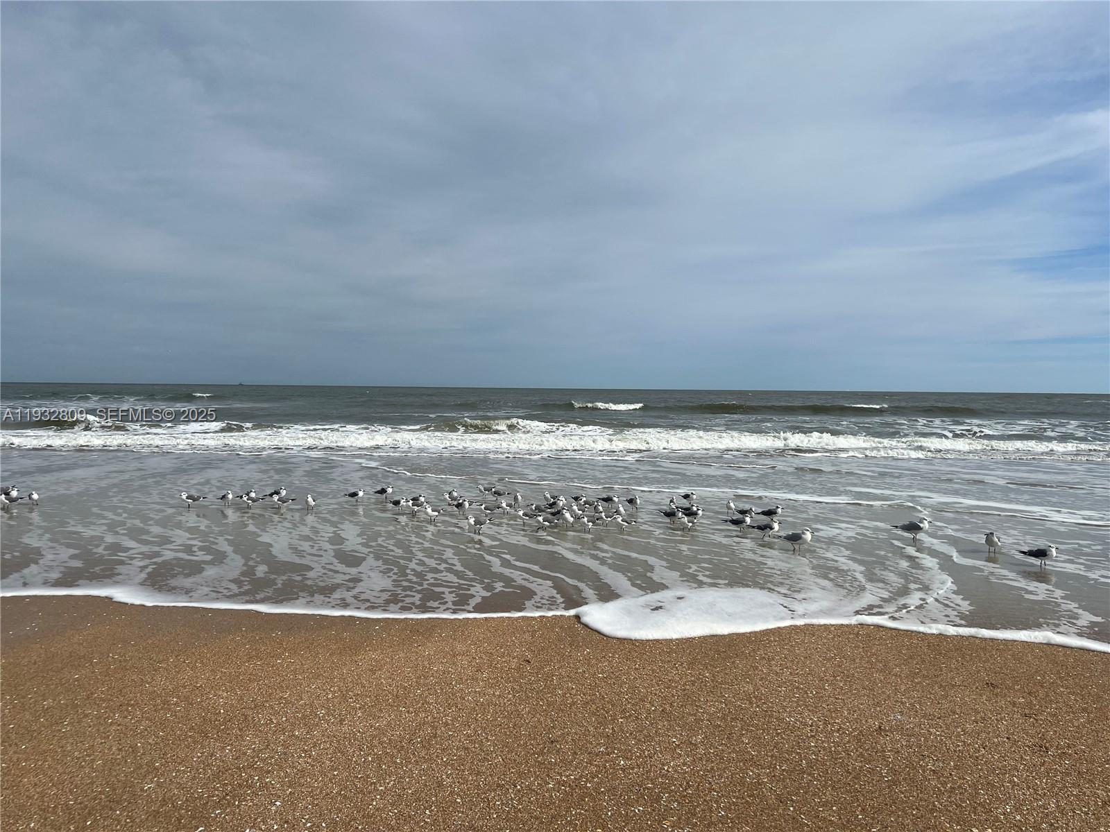 OCEAN HARBOR CONDO - Residential