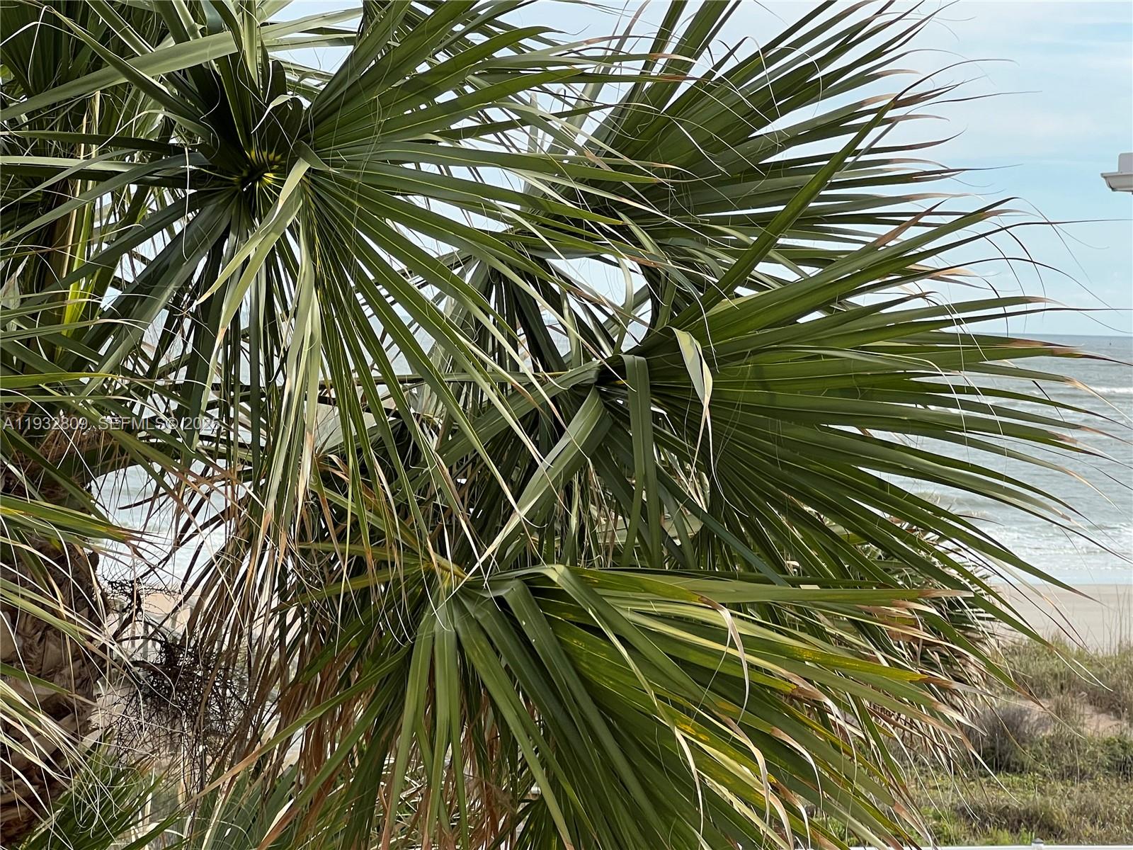 OCEAN HARBOR CONDO - Residential