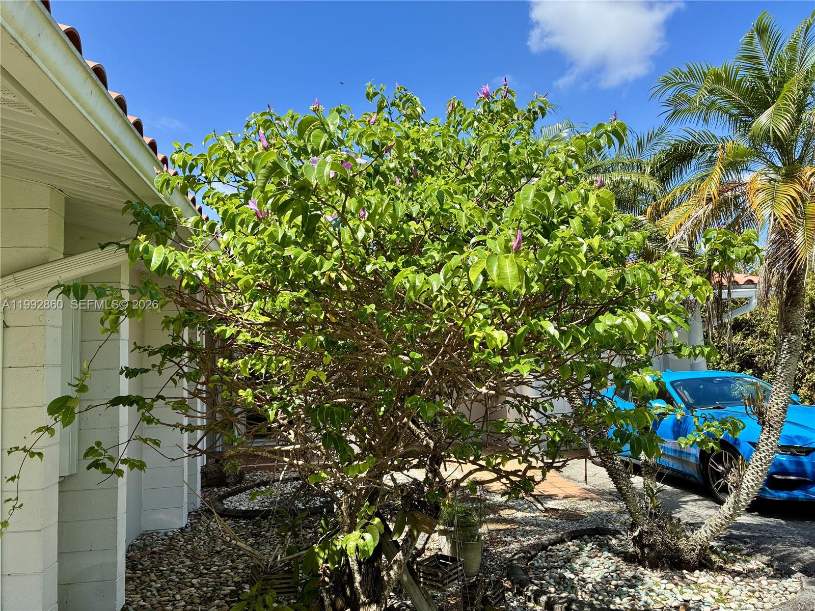 BEL AIRE SEC 6 - Residential