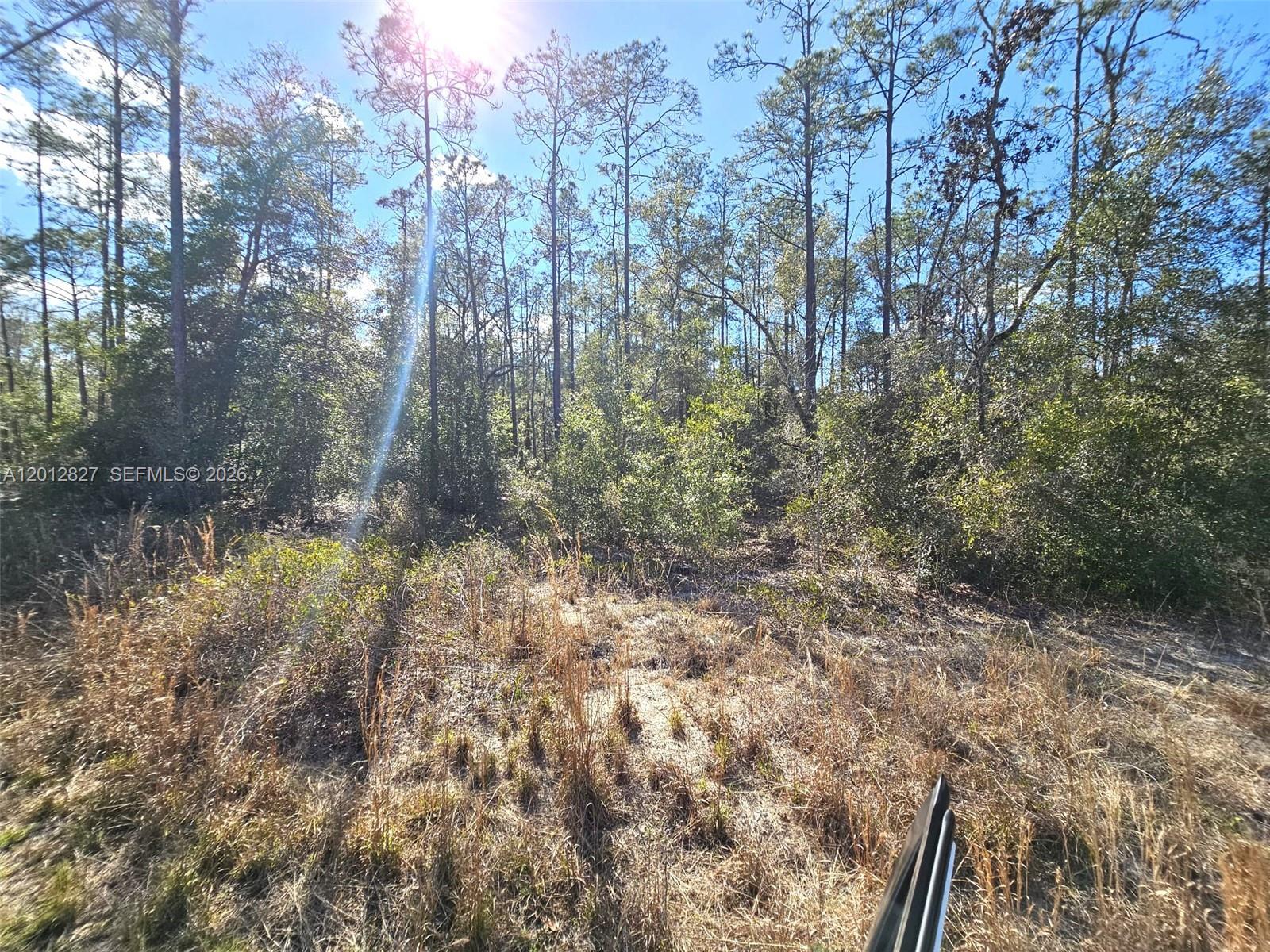 RAINBOW LAKES ESTATES - Land