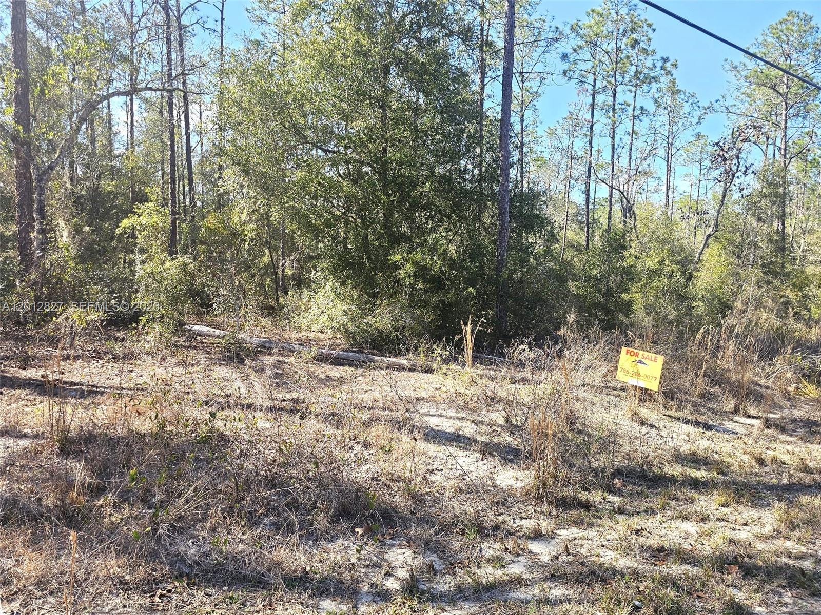 RAINBOW LAKES ESTATES - Land