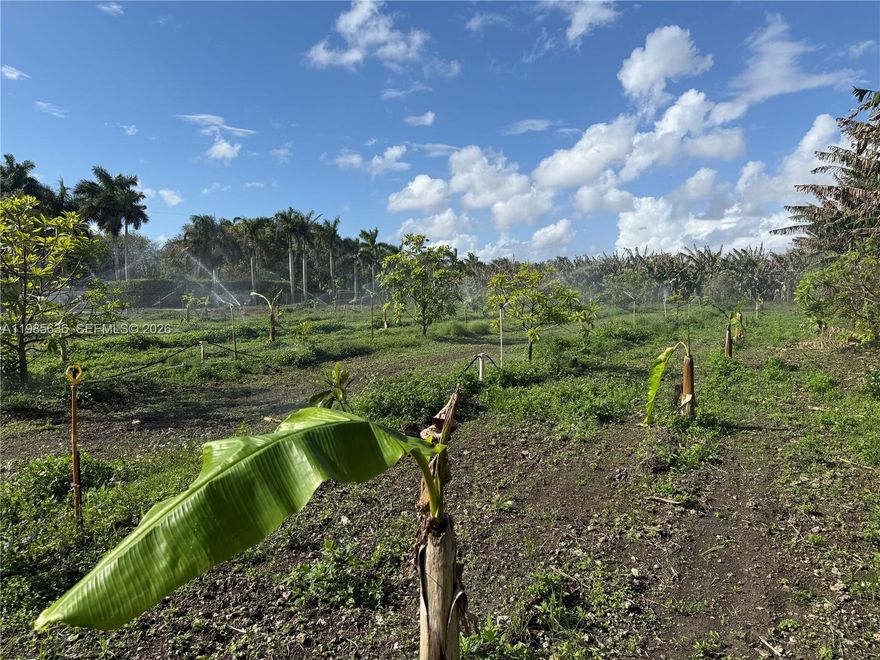Esta es otra excelente oportunidad en la histórica zona agrícola de The Redland. Se trata de cuatro terrenos contiguos, cada uno con su propio folio independiente, lo que ofrece una versatilidad única para comprarlos individualmente o como un solo bloque productivo de gran escala.