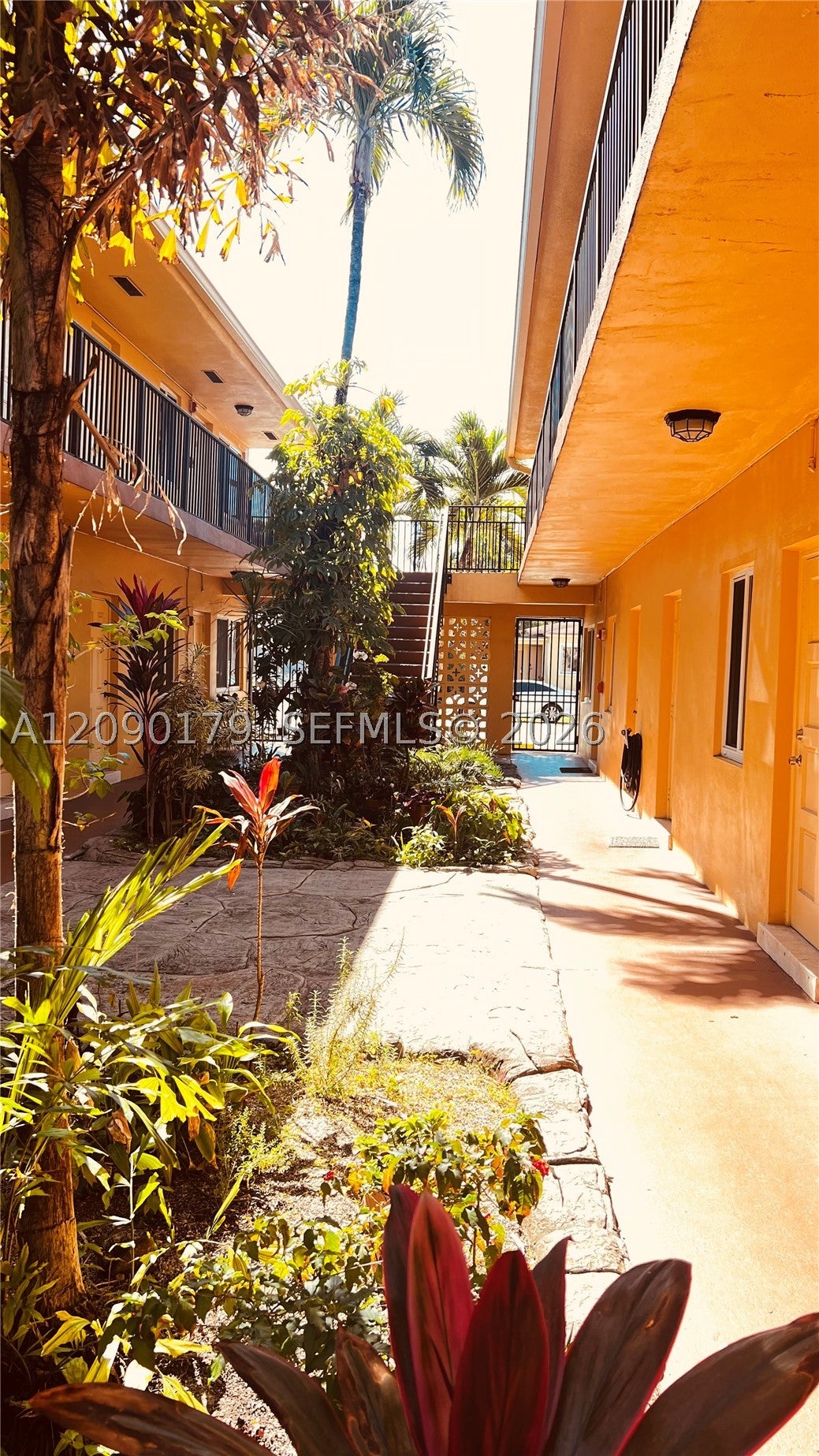 1733 Mayo St 11
