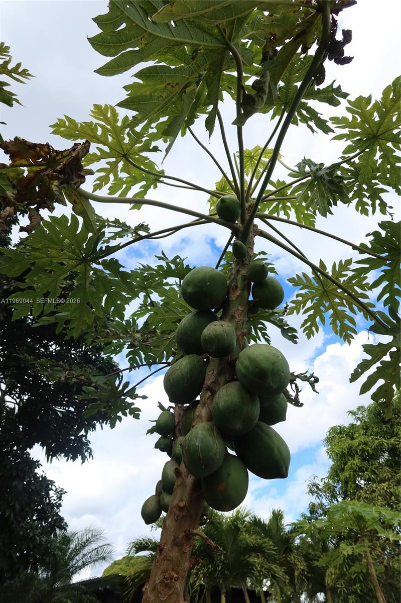 UNIVERSAL ESTATES SOUTH A - Residential Lease