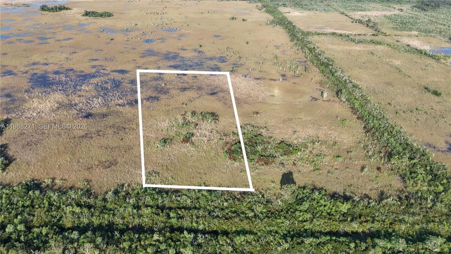 Prime opportunity to own 3.15 acres of vacant land in the rapidly growing Homestead area. This expansive parcel offers endless potential for residential development, agricultural use, or investment. Surrounded by natural beauty and open space, the property provides a peaceful, rural setting while still being conveniently located near major roads, schools, shopping, and dining. No existing structures—ready for your vision. Don’t miss this chance to secure a sizeable piece of land in a high-growth corridor of South Florida.