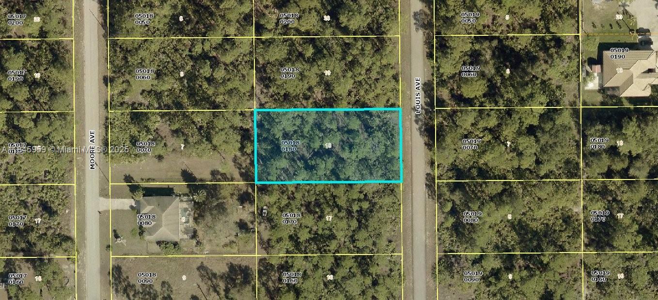 VACANT LOT LOCATED IN LEHIGH ACRES ZONED FOR RESIDENTIAL USE. APROX 1/2 ACRE ON A PAVED STREET WITH SPOTED RESIDENTIAL HOMES IN THE NEIGHBORHOOD. SEVERAL NEW CONSTRUCTIONS IN THE AREA BEING BUILT.