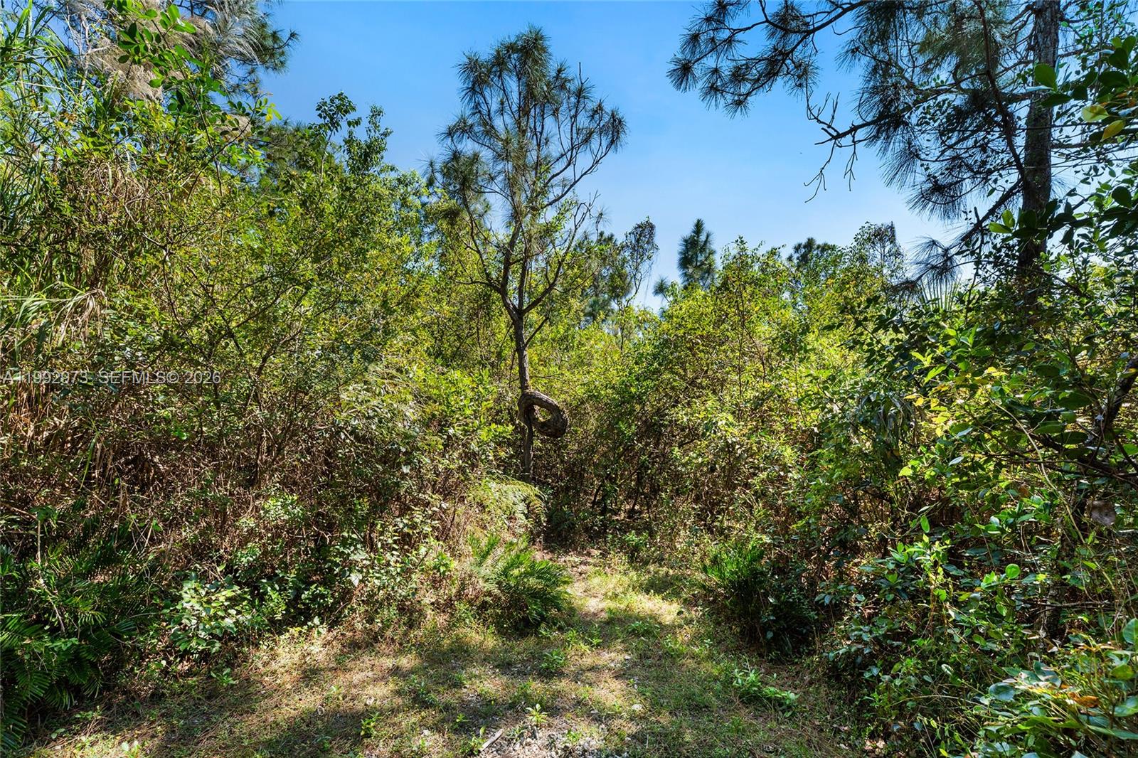 BREEZY OAKS - Residential