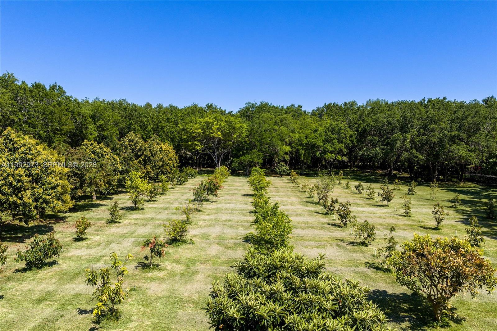 BREEZY OAKS - Residential