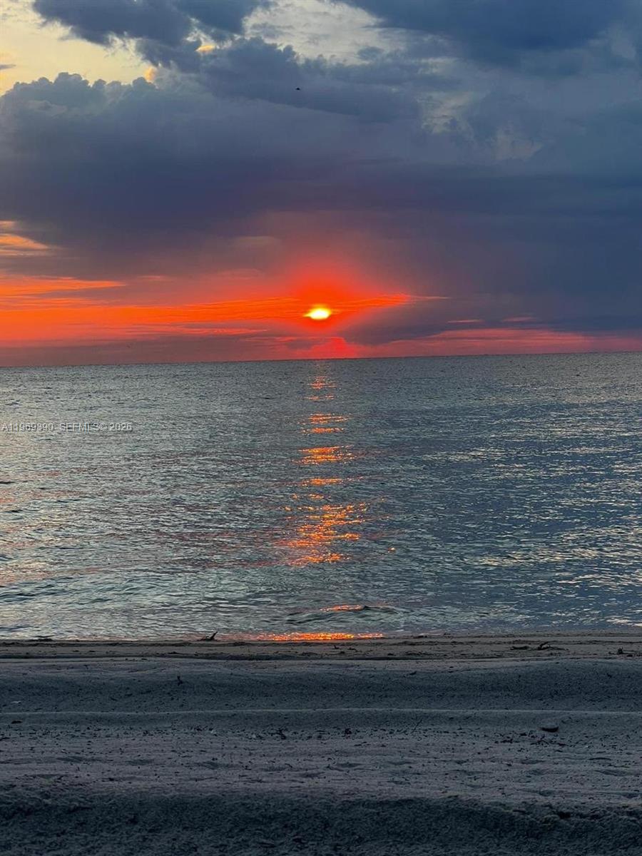 2900 NE 7th Ave 1205