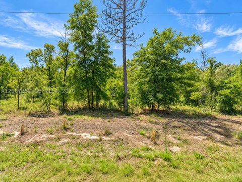 Photo of TBD NW Columbine Ave, Other, FL 34431 (MLS # A12087257)