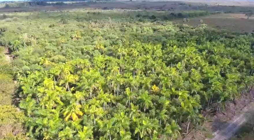 6.85 acres of Undeveloped land with endless possibilities! Contact listing agent today to arrange a tour.