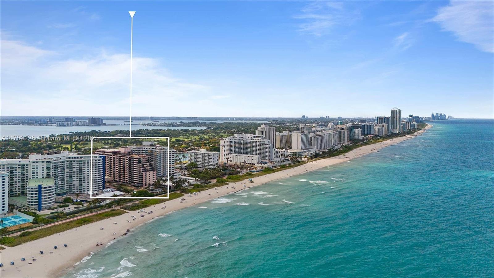 THE ALEXANDER CONDO - Residential