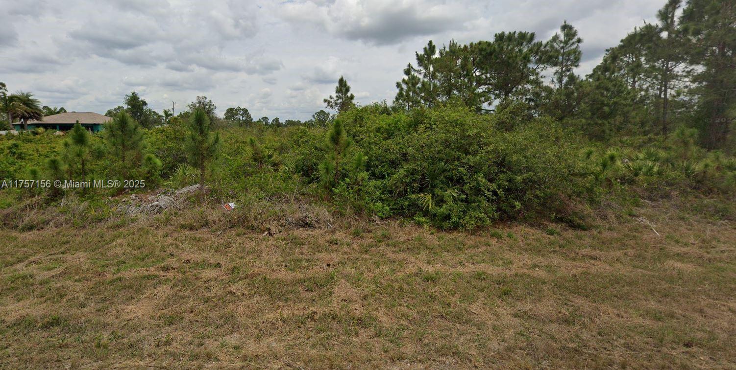 This beautiful residential lot is located in nice and quiet part of Lehigh Acres. This prime piece of real estate is situated on a quiet street offering a tranquil and peaceful setting for building your dream home. The lot is located close to several local amenities, including shopping centers, restaurants, schools, and parks. This makes it an ideal location for families, young professionals, and retirees alike. The community is well-maintained and offers a range of activities for residents, such as golf courses and community centers. Seller has 2 more lots for Sale !!!