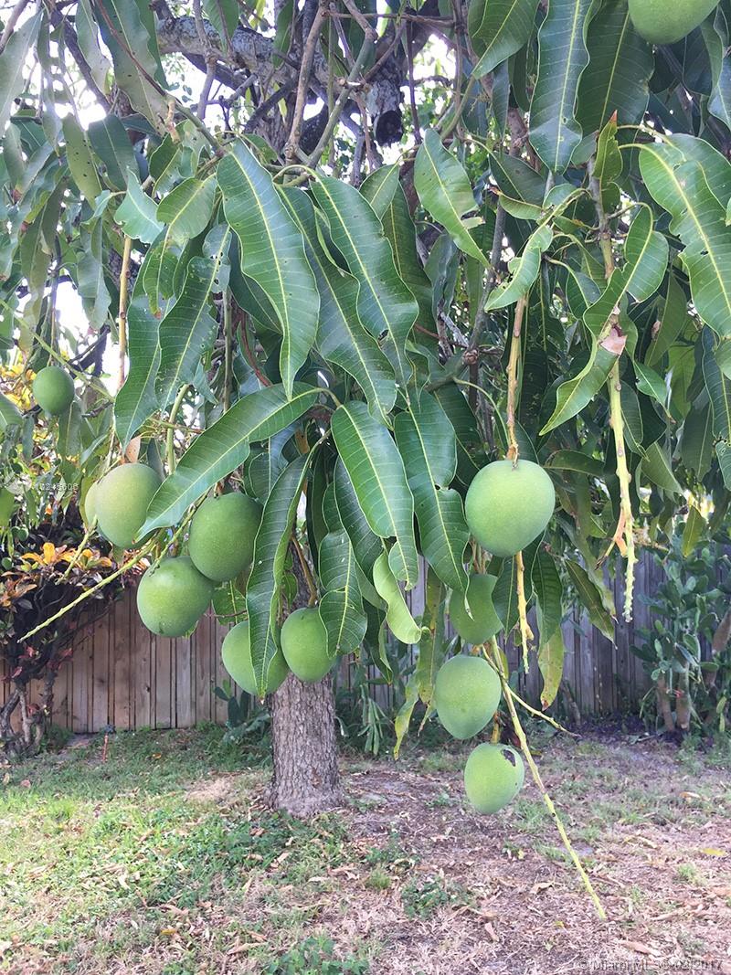 NORTH ANDREWS TERRACE SEC - Residential