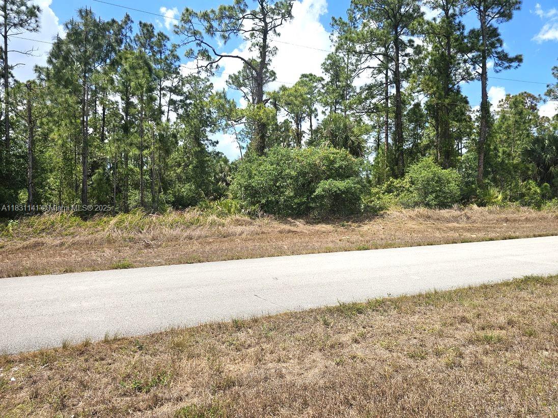 Prime One-Acre Vacant Lot in Rapidly Growing Lehigh Acres! Discover this excellent one-acre vacant lot in the heart of Lehigh Acres, a fast-growing residential community with no HOA restrictions! Enjoy easy access to Joel Blvd, Highway 82, and Palm Beach Blvd, placing you just minutes from LaBelle, Fort Myers, and Cape Coral. This lot is ideally located near a wide variety of parks and nature preserves, including: Frank Mann Preserve, Charleston Park, Alva Comm. Center and Park, Veterans Park, Lehigh Acres Trailhead Park, Hickey Creek Wildlife & Environmental Area, Alva Scrub Preserve, Charlie R. Mathney Park. Whether you're into fishing, kayaking, hiking, or enjoying athletic facilities. Don't miss the opportunity to invest in one of Southwest Florida's most exciting up-and-coming areas!