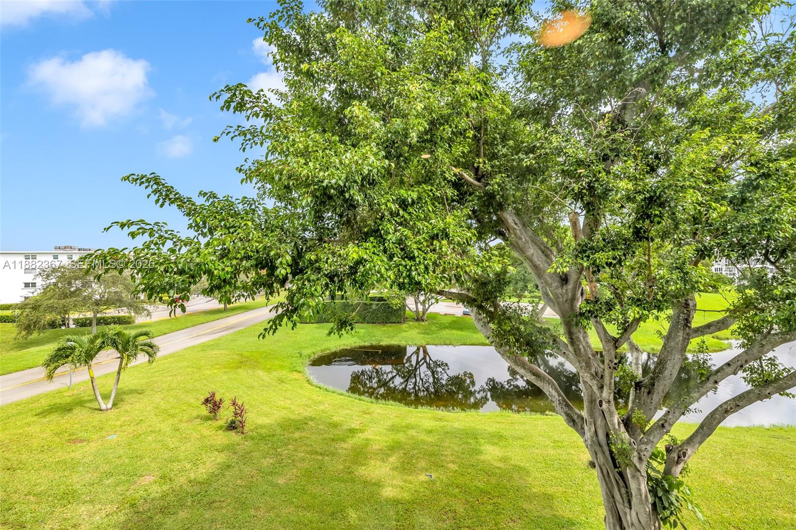 HARWOOD D CONDO - Residential