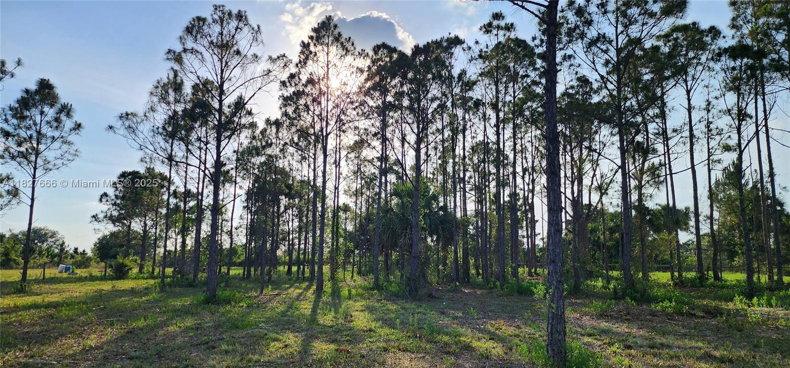 Escape to your own 1.25-acre retreat in Viking Estates, an adventurer’s paradise with endless possibilities! Come see this amazing lot, surrounded by lush trees, offers the perfect spot to build your dream country home, ranch, or weekend getaway—without the hassle of an HOA. Property is fully fenced, culvert, cleared and with survey available. For outdoor enthusiasts & nature lovers, the property is just north of the breathtaking 54,000-acre Kissimmee Prairie State Park, where over 100 miles of scenic trails await for horseback riding, hiking, and cycling. Whether you're looking for a personal haven, an investment opportunity, or a future homestead, this spacious lot offers incredible potential. Contact the county to explore zoning options and land use possibilities