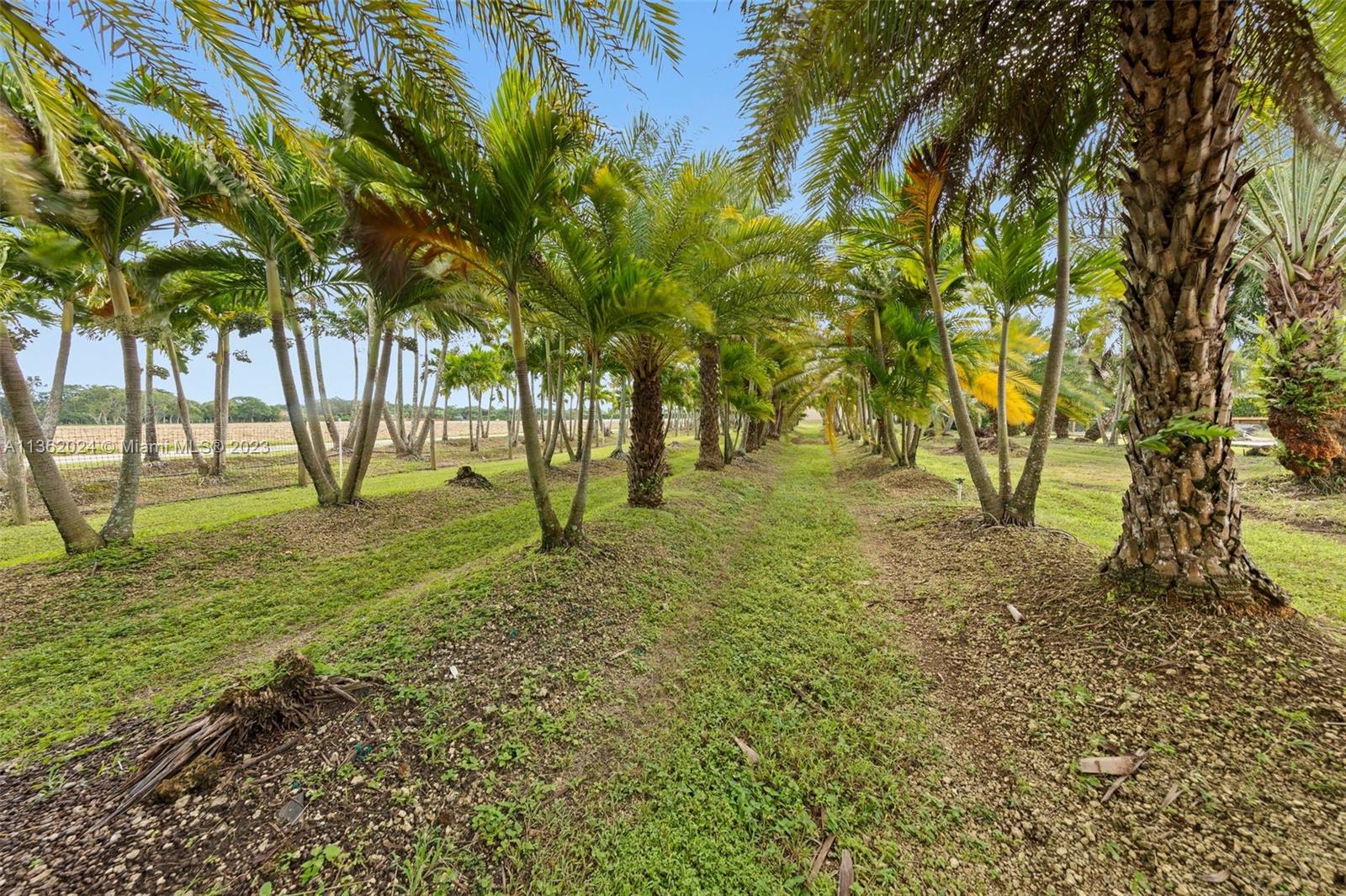 REDLAND VRBO AND EVENT - Residential