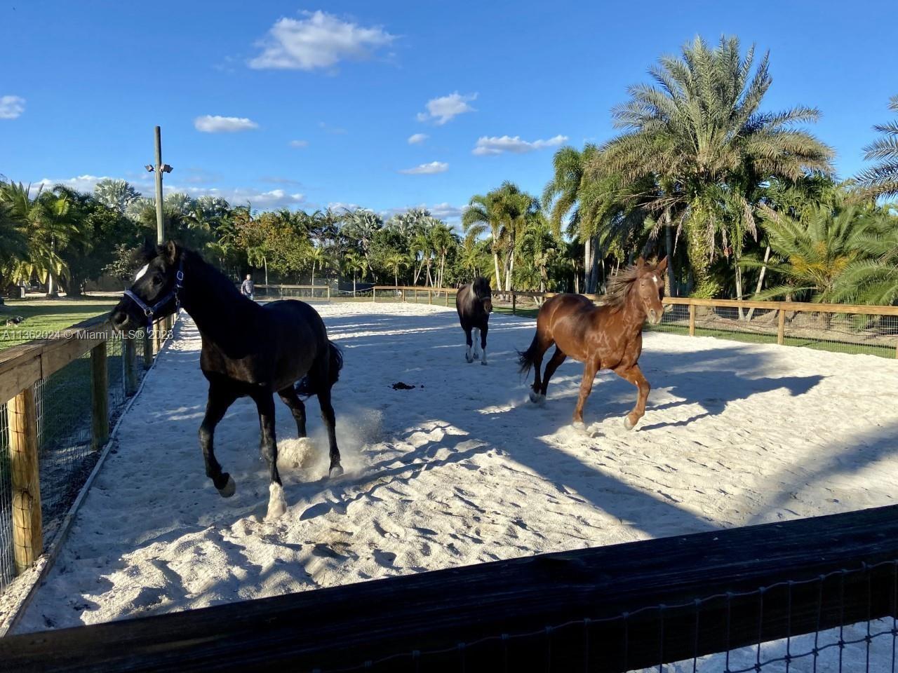 REDLAND VRBO AND EVENT - Residential