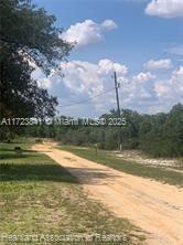 AVON PARK LAKE - Land