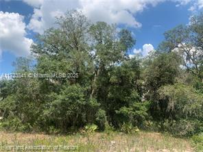 AVON PARK LAKE - Land