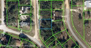 AVON PARK LAKE - Land