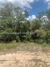 AVON PARK LAKE - Land