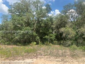 AVON PARK LAKE - Land